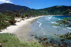 Maracas beach Trinidad by Richard Wareham