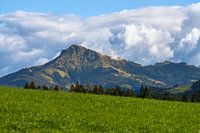 Blick auf das Kitzbühler Horn in Tirol