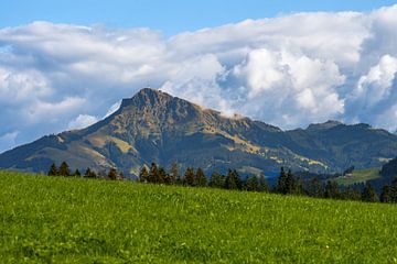 Uitzicht op de Kitzbühler Horn in Tirol