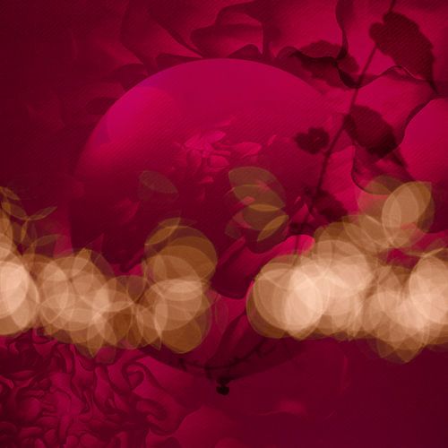 De Ballon in de tuin. 5