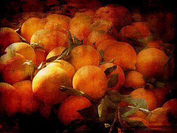 Oranges - Temps sur Claudia Gründler