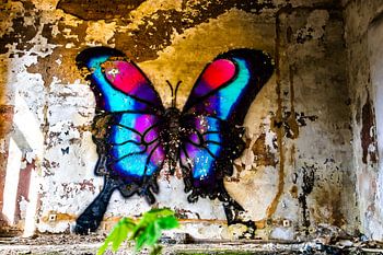 Un papillon coloré dans un sanatorium abandonné - l'art en perdition