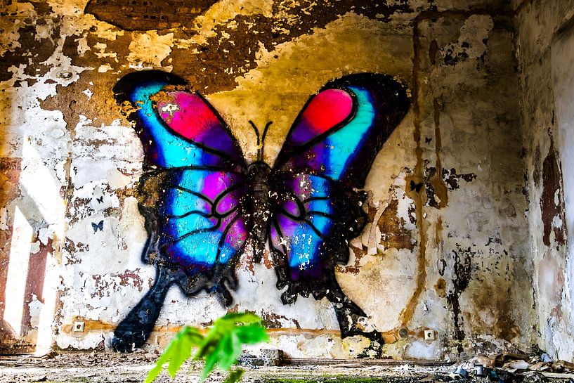 Farbenfroher Schmetterling in verlassener Heilanstalt – Kunst im Verfall von InfiniteArtLabs