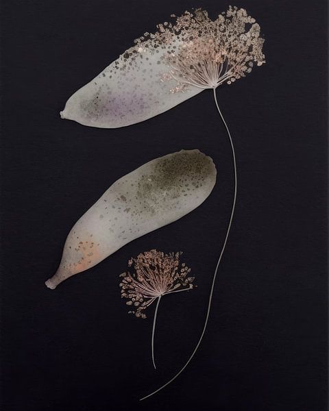 Flatlay of pressed flowers combined with watercolour by Studio Allee
