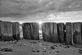 Groyne in Zingst aan de Oostzee. De kribben reiken tot in de zee van Martin Köbsch