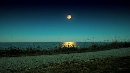 Moon