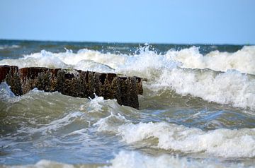 Schwappende Wellen gegen den Pfahlkopf von Oostkapelle Fotografie