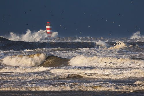 Golven bij Vuurtoren