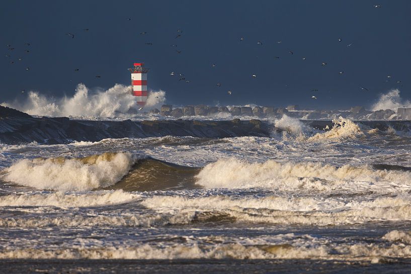 Wellen am Leuchtturm von Thijs Friederich