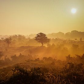 mooie landschap foto van Angelique Rademakers