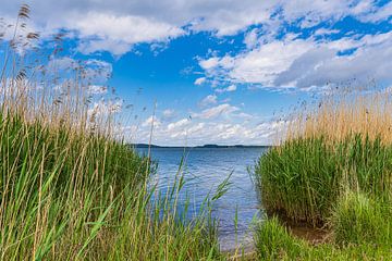 Vue sur le lac de Berzdorf près de Görlitz sur Rico Ködder