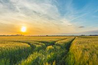 Zonsondergang op 't Drentse land