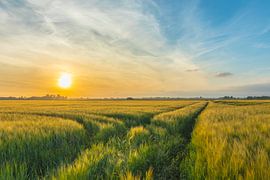 Zonsondergang op 't Drentse land von Johan Mooibroek