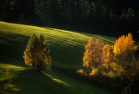 Golden autumn in Italy