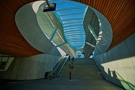 SUN seems to make shadows ... by SeruRon Photo's