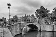 Pont sur le Reguliersgracht - Amsterdam par Tony Buijse Aperçu