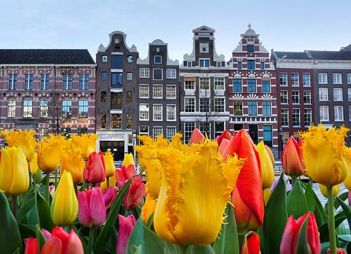 I'll give you tulips