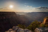 Uitzicht Grand Canyon von Jeffrey Van Zandbeek Miniaturansicht