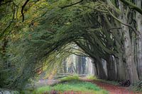 Automne