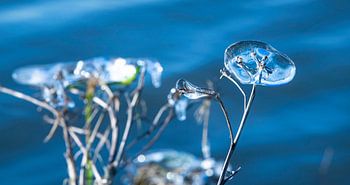 Abstraction naturelle dans les formes de glace
