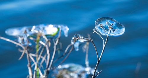 Abstraction naturelle dans les formes de glace