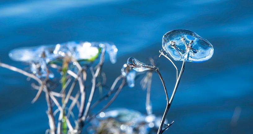 Natural Abstraction in Ice Forms by Peter Venema