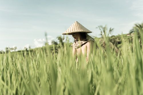 The Beauty of Bali – Tranquillity and Tradition