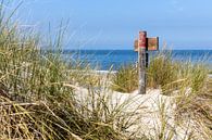 Schild in de duinen van Christoph Schaible thumbnail