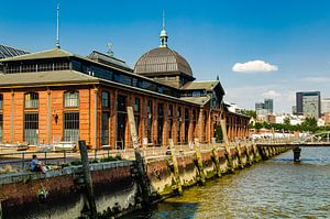 Fischmarkt Gebäude am Kai mit Elbe im Hafen Hamburg