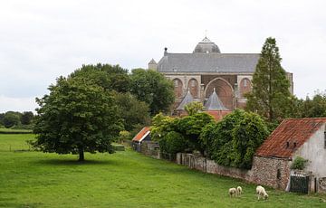 große Kirche veere weliand mit Schafen und Bäumen