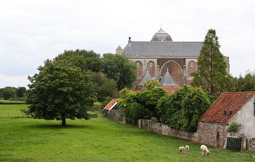 grote kerk veere weliand met schaapjes en boom