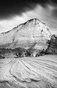 Checkerboard Mesa in Schwarz-Weiß, Zion-Nationalpark, Utah