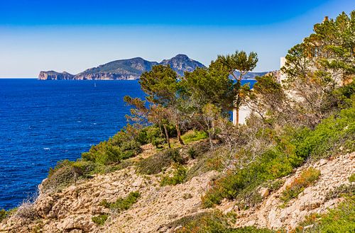 Sa Dragonera, a natural park island at the coast on Mallorca