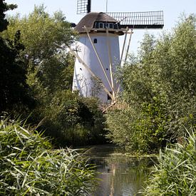 Eine kleine holländische Windmühle an einem Teich mit Grünpflanzen in Schiedam, Niederlande, im Somm von N. Rotteveel
