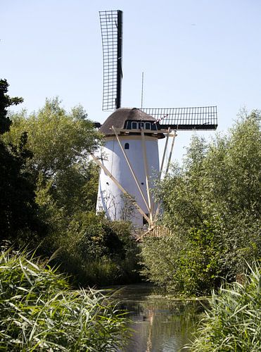 Kleine hollandse poldermolen langs een groene sloot in Nederland tijdens de zomer.