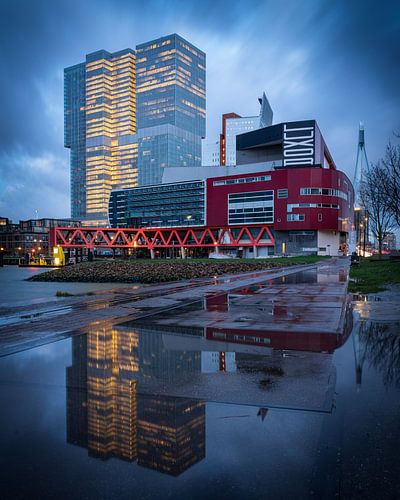 Le Rotterdam sur Mark De Rooij