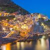 Manarola by Night - Cinque Terre, Italië - 2 van Tux Photography