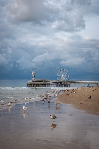 Uitzicht op de pier in Scheveningen