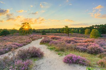 Zonsondergang op de heide van Michael Valjak