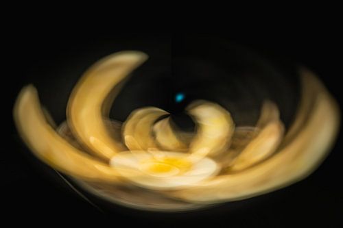 asperges a la flamande 2