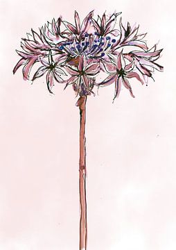 Gezeichnete Kornblume mit Feder und Tinte von Debbie van Eck