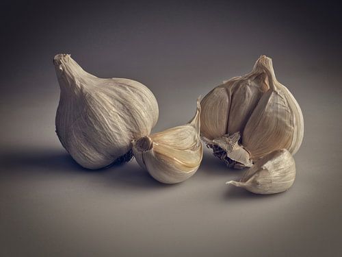 Knoflook