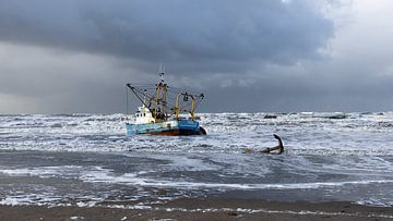 Krabbenkutter in Zandvoort gestrandet von Cobi de Jong