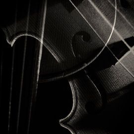 NR6 by Bert Strootman