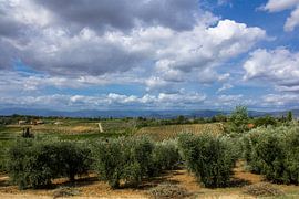 Toscaans landschap by Tess Groote