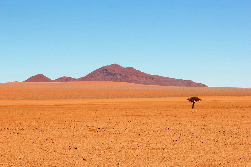 Einsame Wüstenlandschaft von Inge Hogenbijl