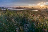 zonsopgang, Drenthe bult