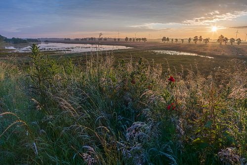 lever de soleil, Drenthe hump sur Daphne Kleine