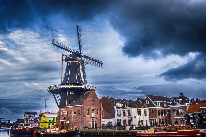 Haarlem der Adriaan von Brian Morgan
