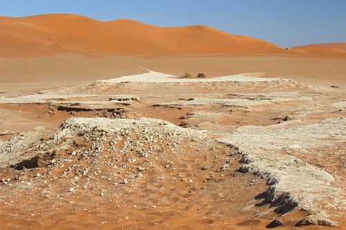 De stilte op de Sossusvlei in Namibië